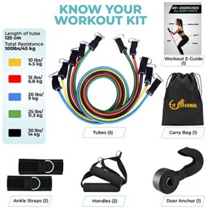 Best Resistance Fitness Bands