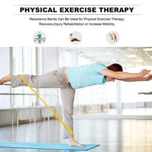 Theraphy Resistance Bands for Men & Women